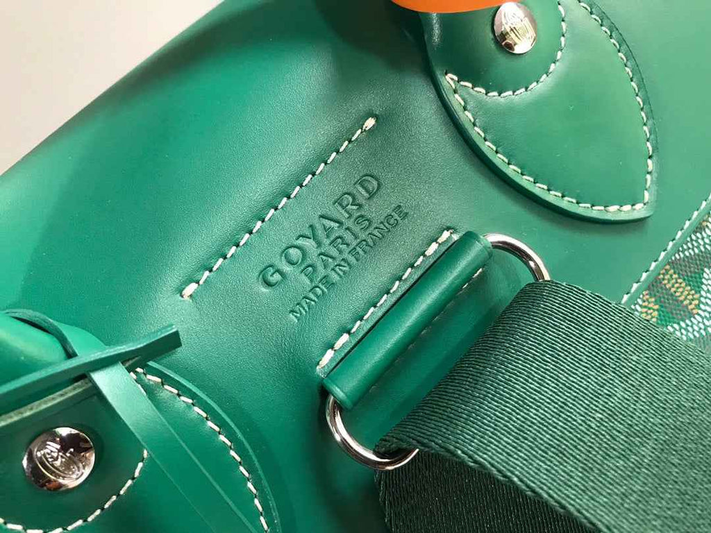 Goyard Alpin MM Backpack GY020308 Green