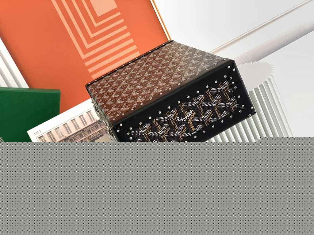 Goyard Travel bags Watch Case GY030290 Black