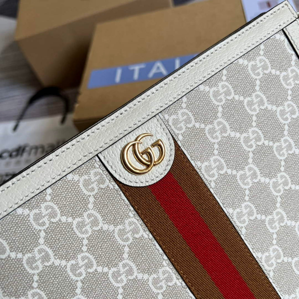 Gucci 625549 Ophidia pouch beige