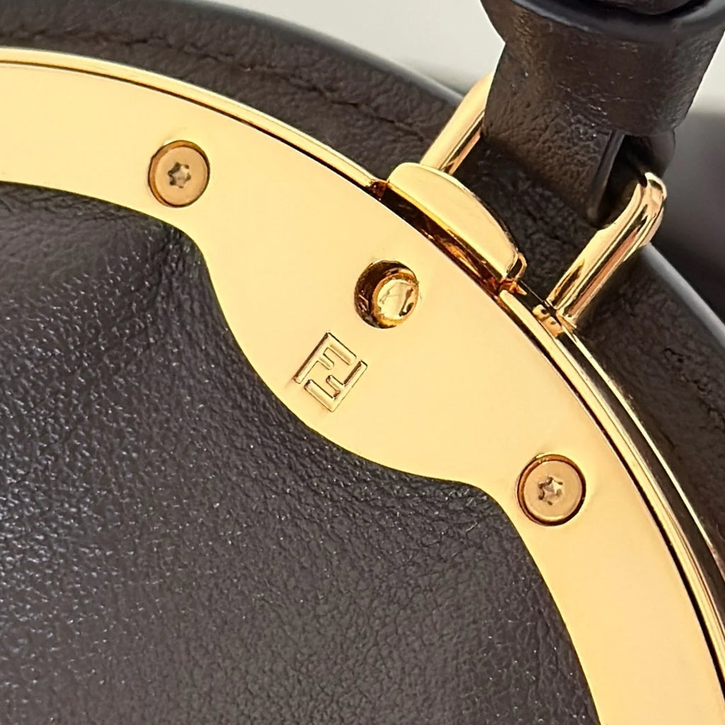 Large Fendi Spy Bag, 8BR839 calfskin coffee