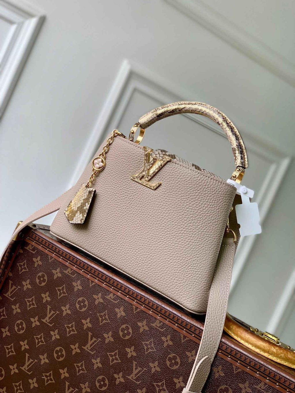 Louis Vuitton Capucines BB Bag, N89369 In Gray Taurillon Leather - Default Title - View 1