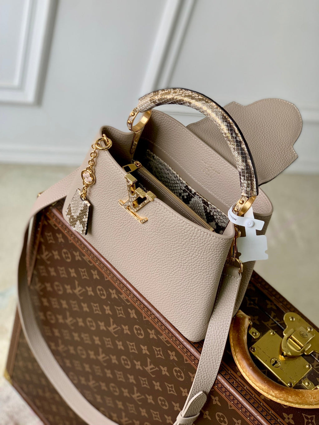 Louis Vuitton Capucines BB Bag, N89369 In Gray Taurillon Leather - Default Title - View 9