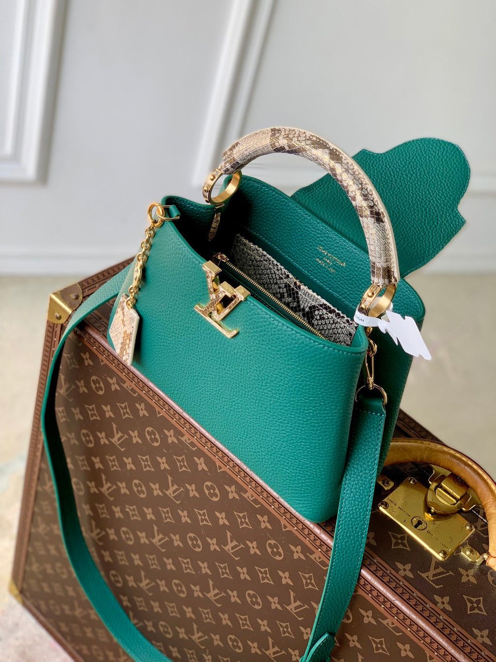 Louis Vuitton Capucines BB Bag, N89369 In Green Taurillon Leather - Default Title - View 9