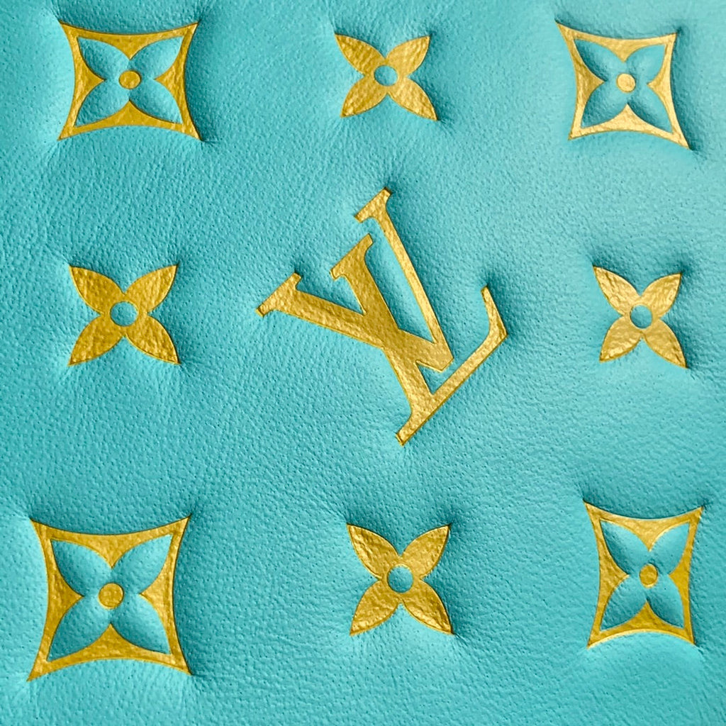 Louis Vuitton LV M59398 Coussin PM Handbags Light Blue - Default Title - View 6