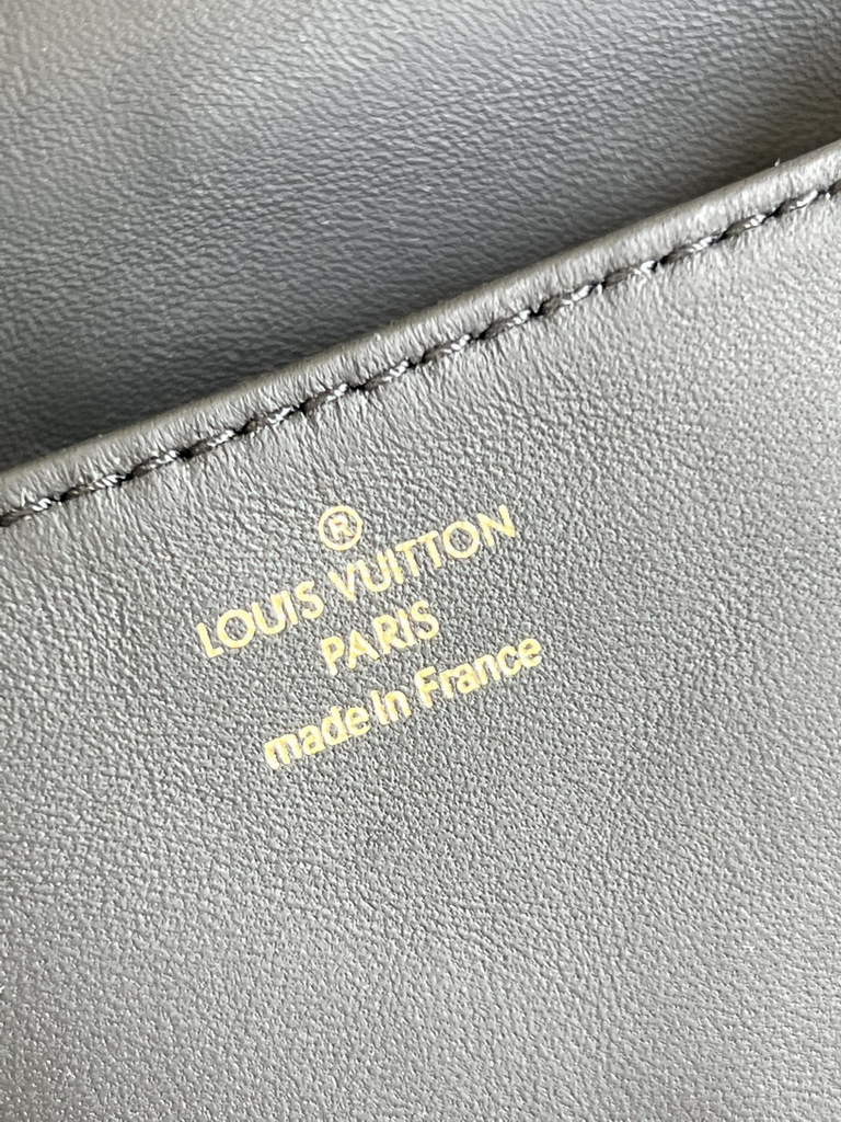 Louis Vuitton M81125 Beltbag Coussin Handbag Calfskin Leather Black - Default Title - View 9