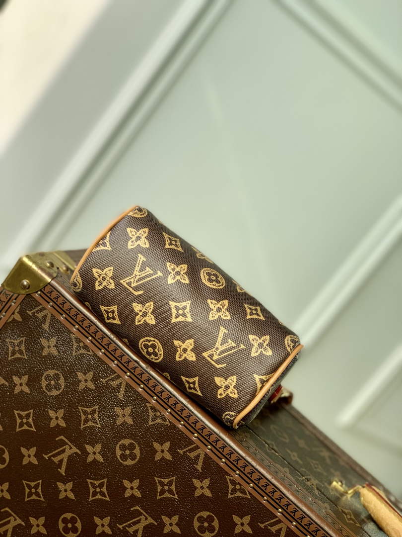 Louis Vuitton Nano Speedy Bag M27610 Monogram Brown - Default Title - View 4