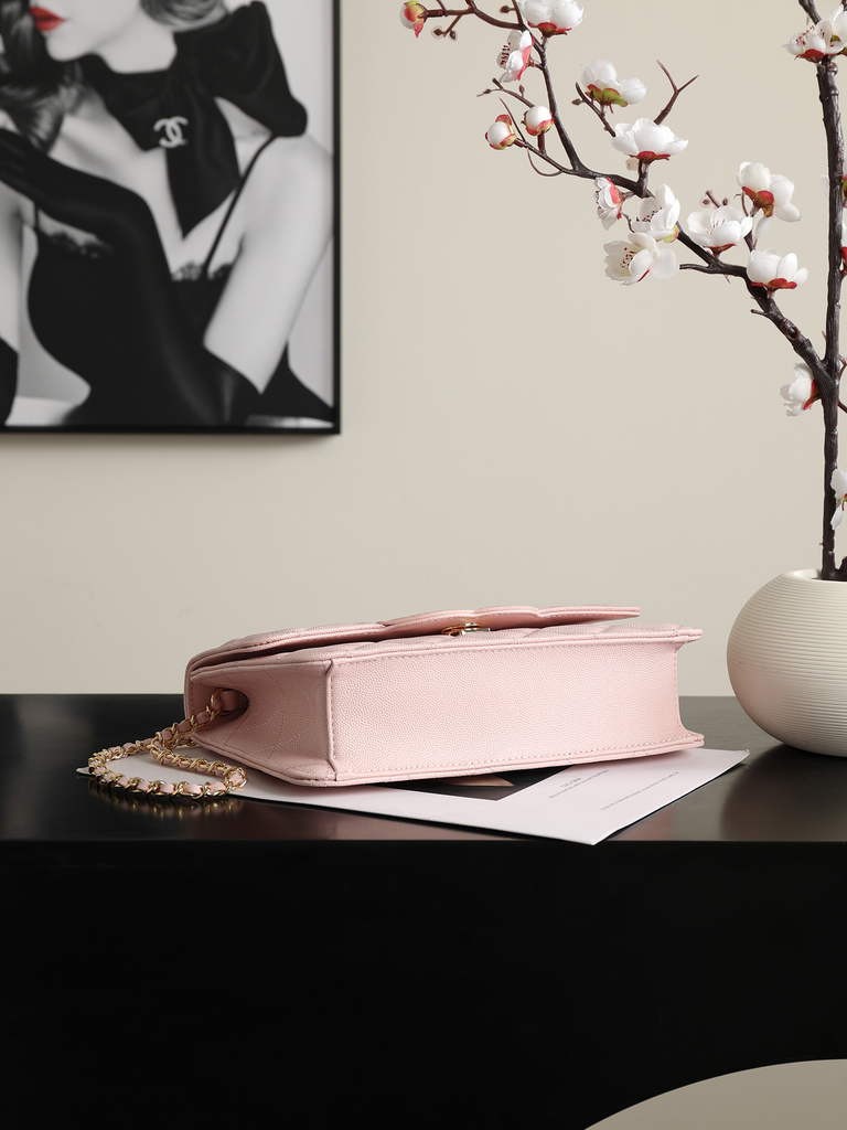 Chanel Wallet on Chain, AS6554 Calfskin Pink